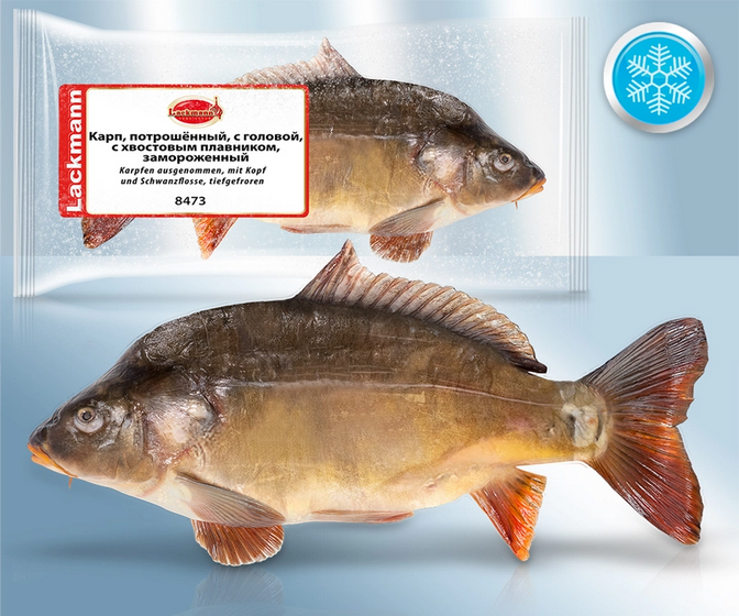 Carp gutted with head, with tails, frozen, ca.2000g/Kарп, потрошёный, с головой, с хвостовым плавником, замороженный, ca.2000г